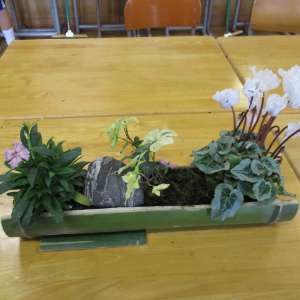 寄せ植えの写真